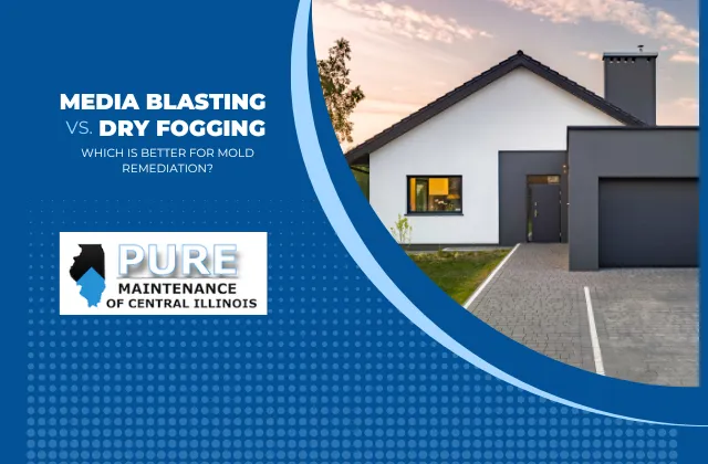 Media Blasting vs. VaPURE Treatment Mold Remediation